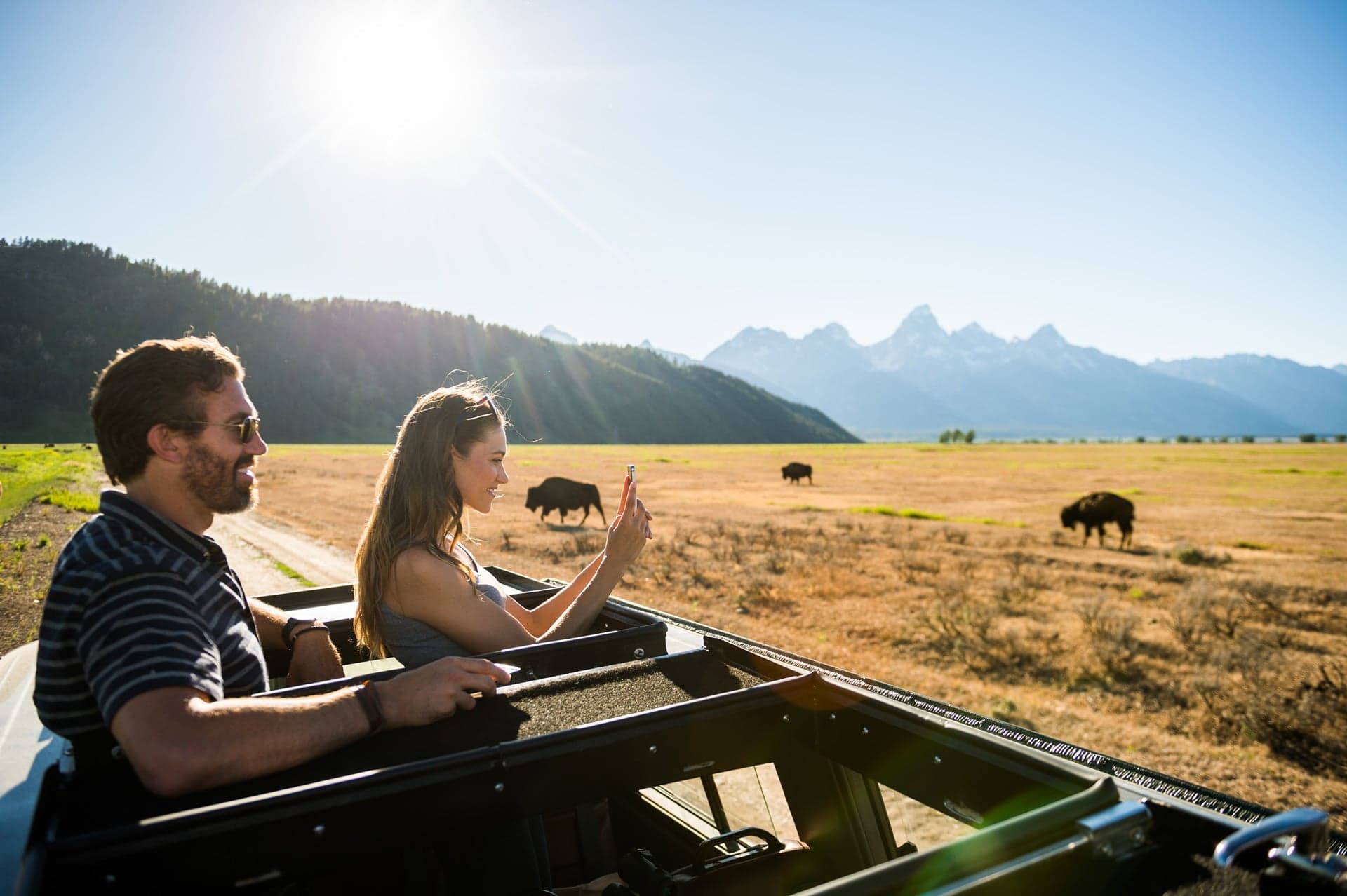 A man and a woman standing in a jeep during a safari taking pictures of bison in an open field in Wyoming