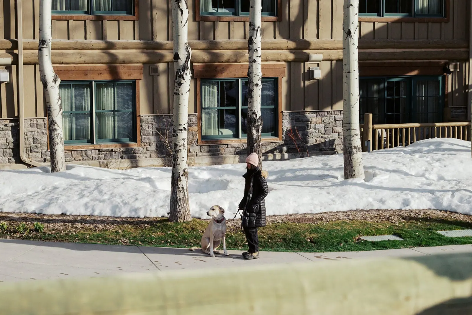 A woman and her dog goes for a walk on a sidewalk outside of the Teton Mountain Lodge