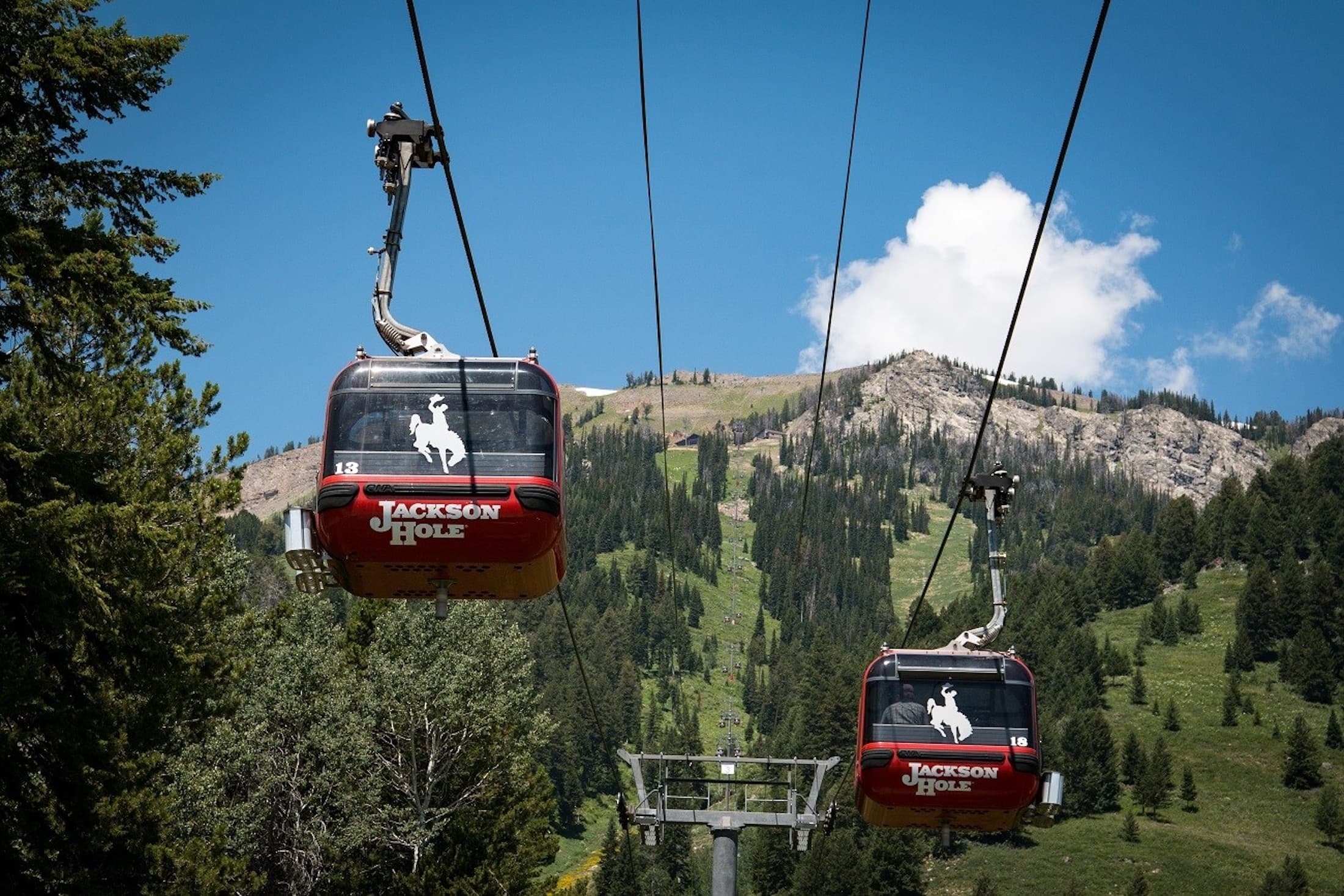 A pair of aerial trams traverse up a hill