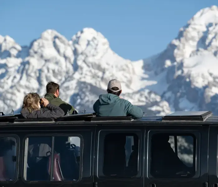 People standing up in a game-viewing vehicle engaging in winter wildlife viewing
