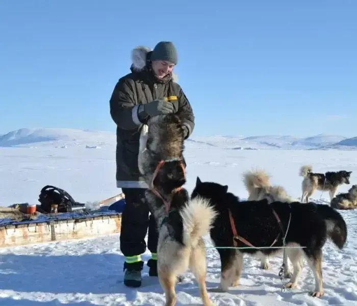 A man in winter gear feeds one of his sled dogs in a snowy field